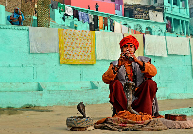 Chinmoy Biswas, Snake Charmer.