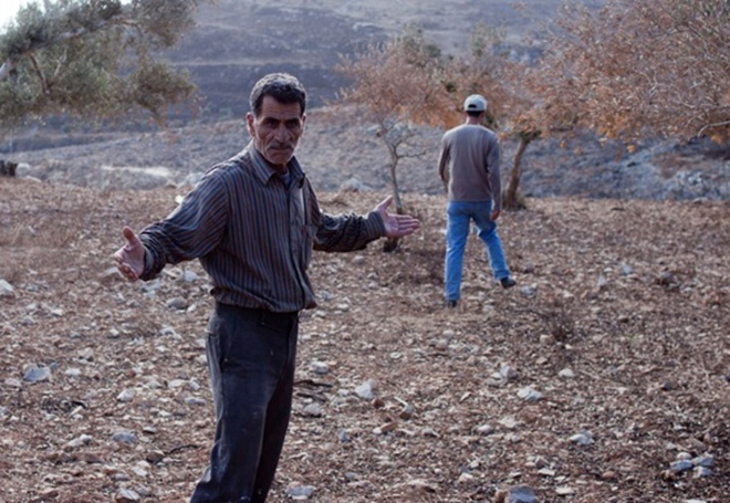 Mr Najjar after finding his olive trees had been vandalized, Burin, Palestine