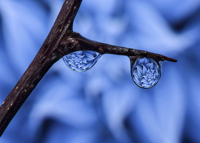 David Wood, Blue Shining Water Drops