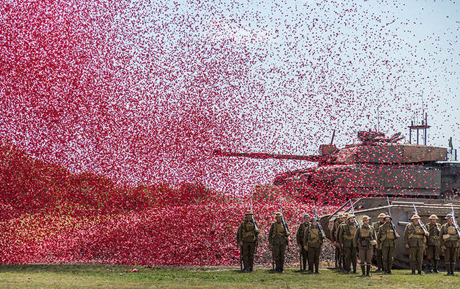 Sheila Haycox, World War i Centenary.