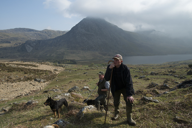 Svetlana Illic, From the Series The Welsh Runs.