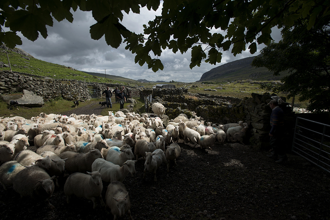 Svetlana Illic, From the Series The Welsh Runs.